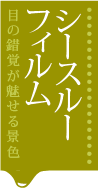 シースルーtop